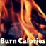 daily calorie burn